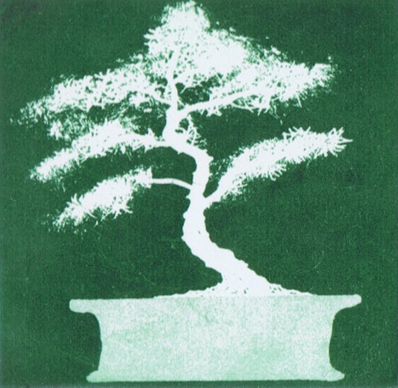 Bonsai Quartet