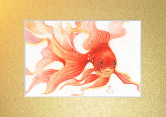 Goldfish 5