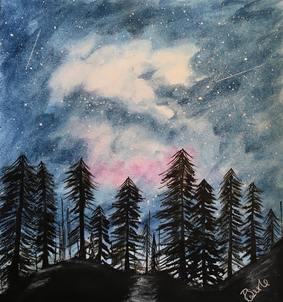Forest at nightfall