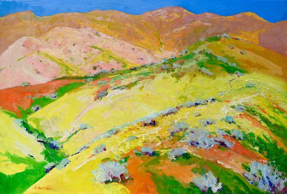 Yellow Blooming Hills. Spring in California