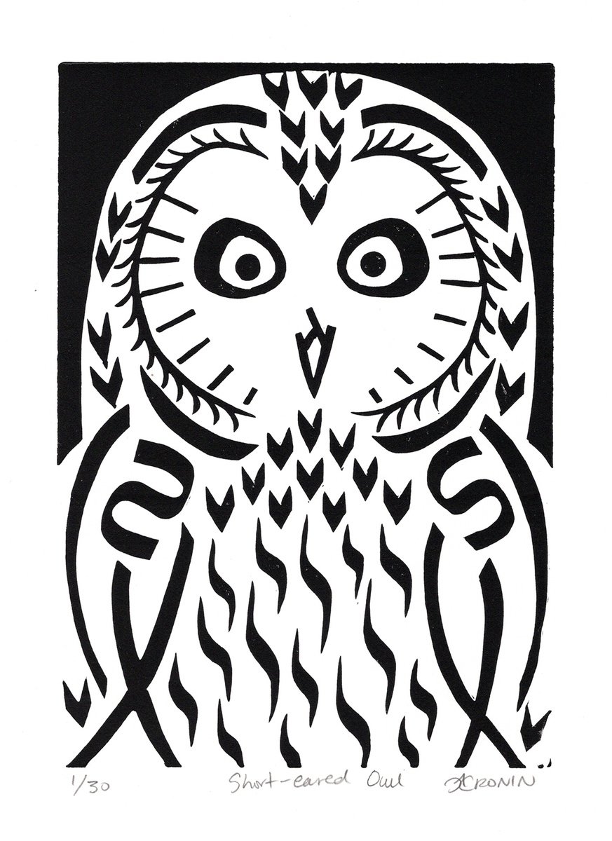 Short-eared Owl b/w (edition of 30) by Catherine Cronin