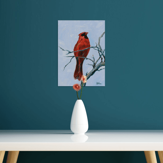 Song birds - Cardinal III