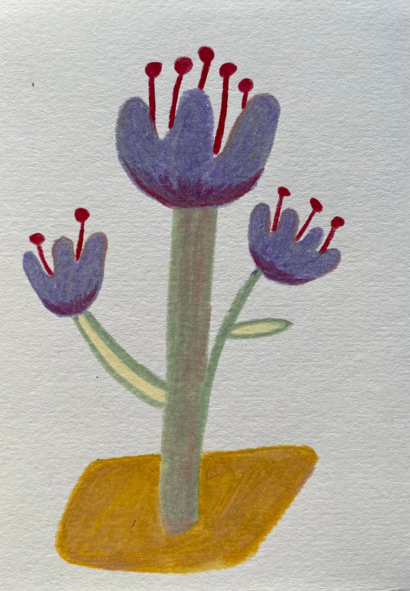 Crocus by Helen Dryden