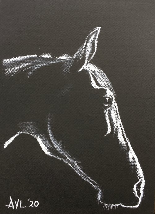 Dark horse by Abigail Long