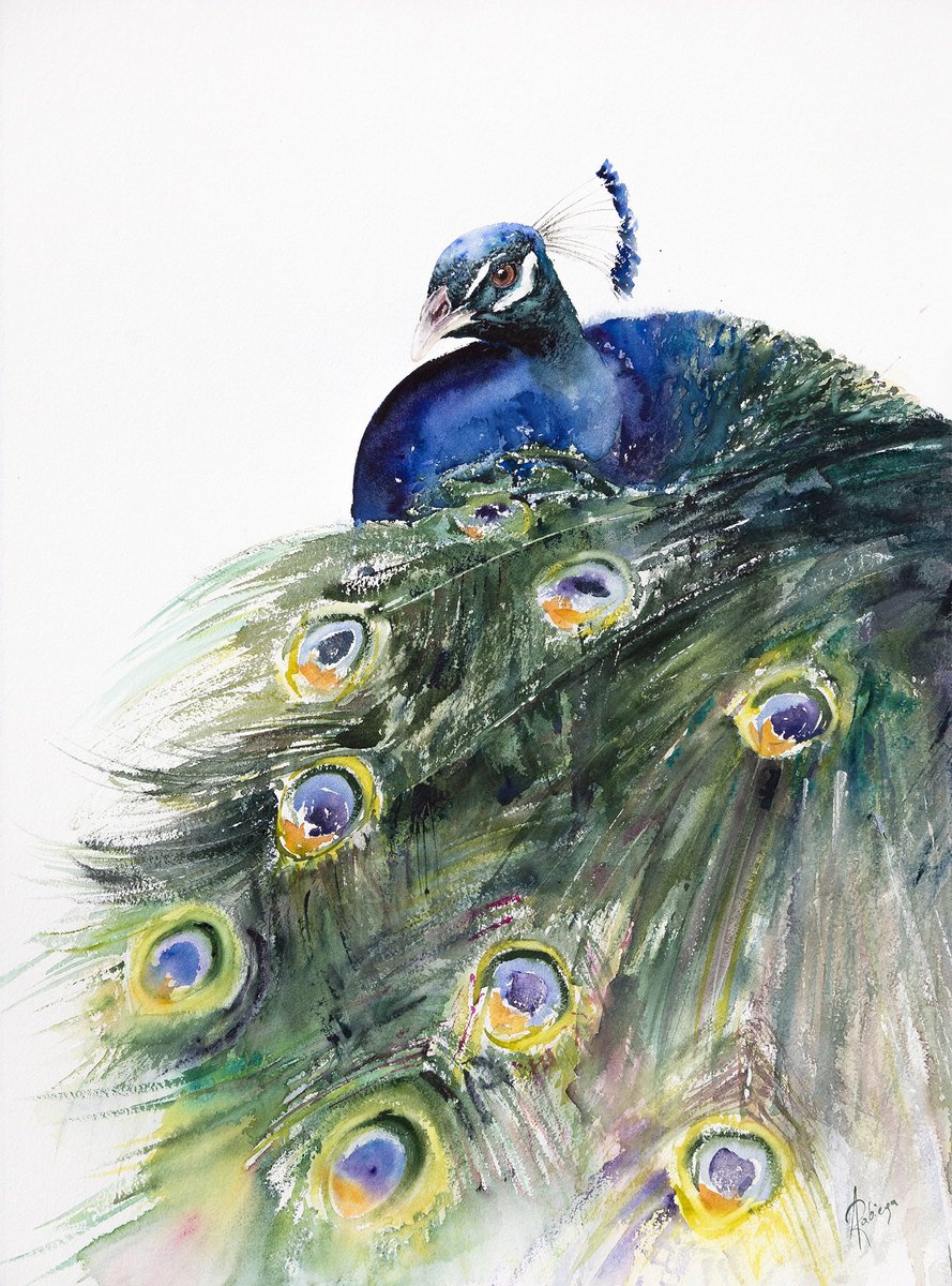peacock by Andrzej Rabiega