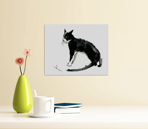 Black cat