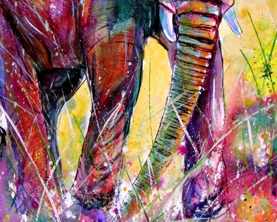 Elephant in the meadow