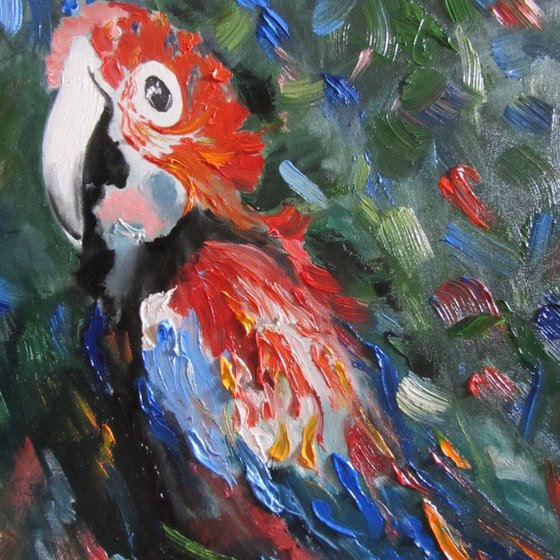 Macaw hedonist