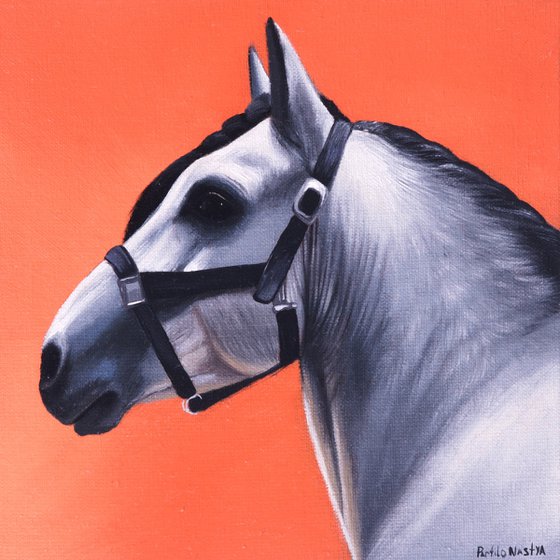 Horse Portrait 90