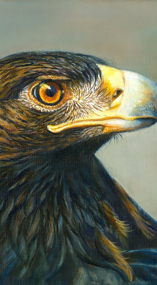 Gaze of Power by Norma Beatriz Zaro