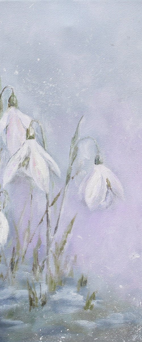 Snowdrops in the Morning Haze II by Katerina Koroleva