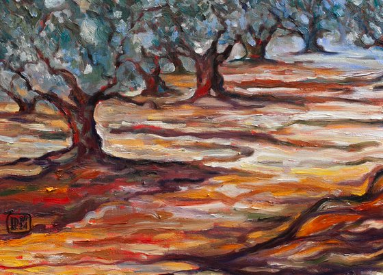 Olive Grove