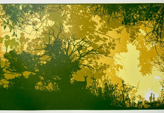 Gap in the Forest