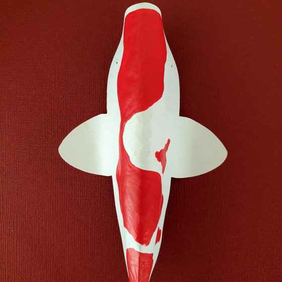 Kohaku Koi