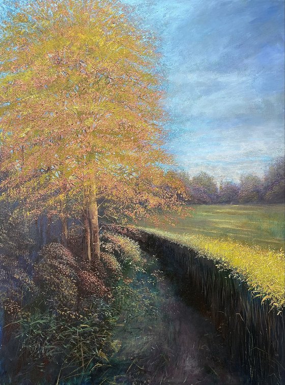 Spring Landscape