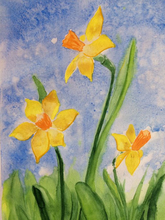 Yellow narcissus on a blue sky background