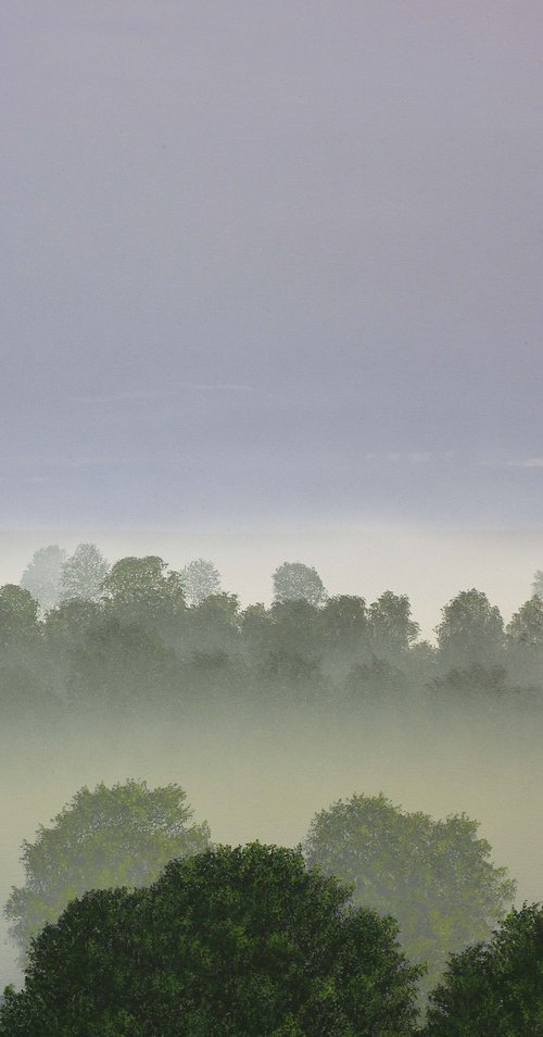 Distant Trees by Nigel Wood