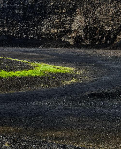 Grass in a Quarry by Russ Witherington