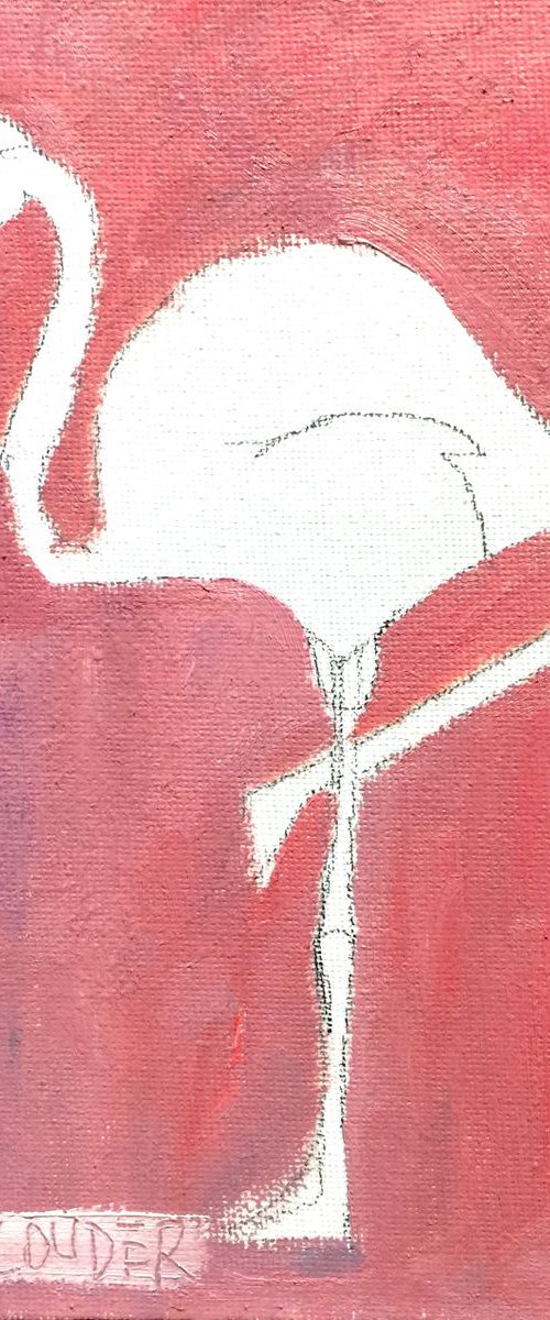 Flamingo by Ryan  Louder