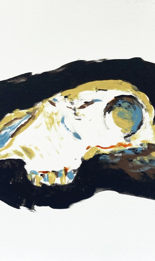 Skull (White/yellow/Black) by Rachel Williams