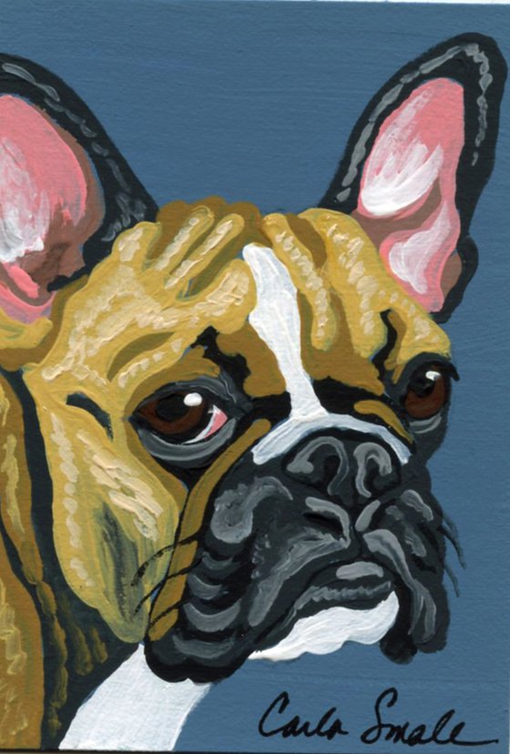 French Bulldog
