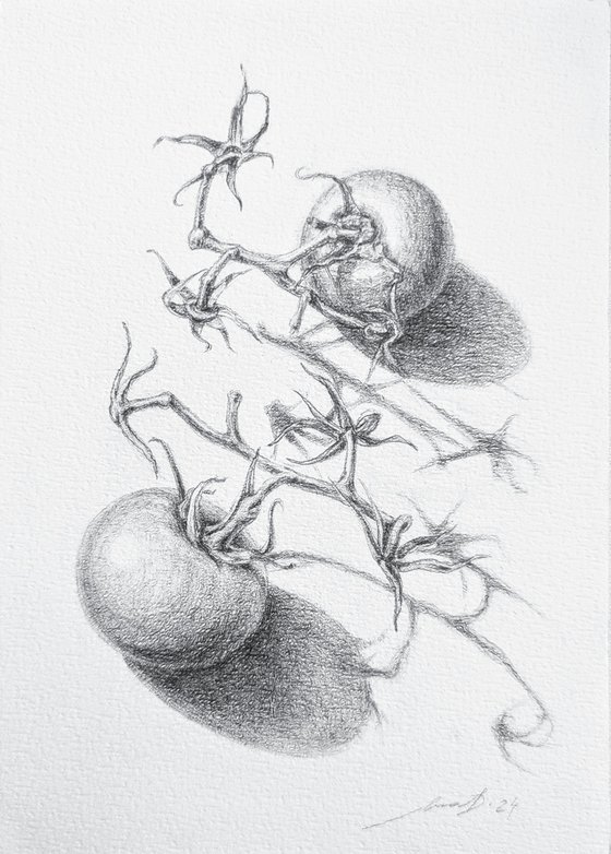 still life "cherry tomatoes"