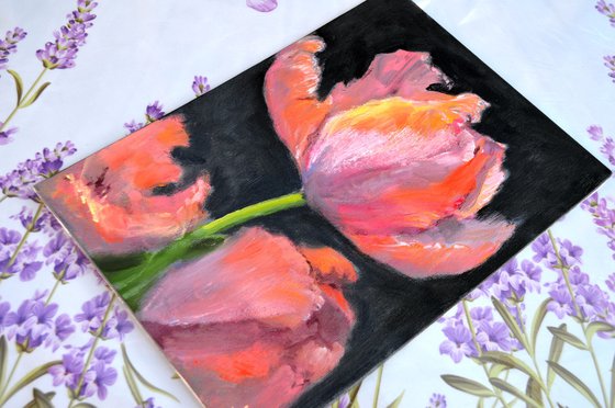 Coral tulips 3