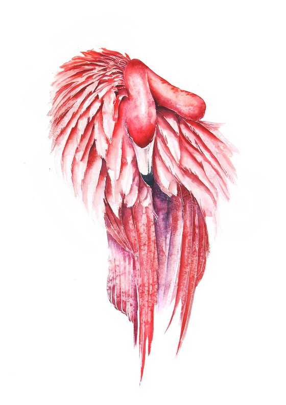 Pink Flamingo, wildlife, bird, watercolour painting