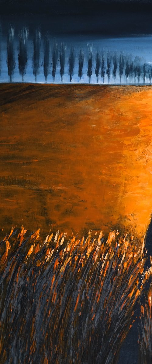 Dream Road- Fields and Colors Series by Danijela Dan