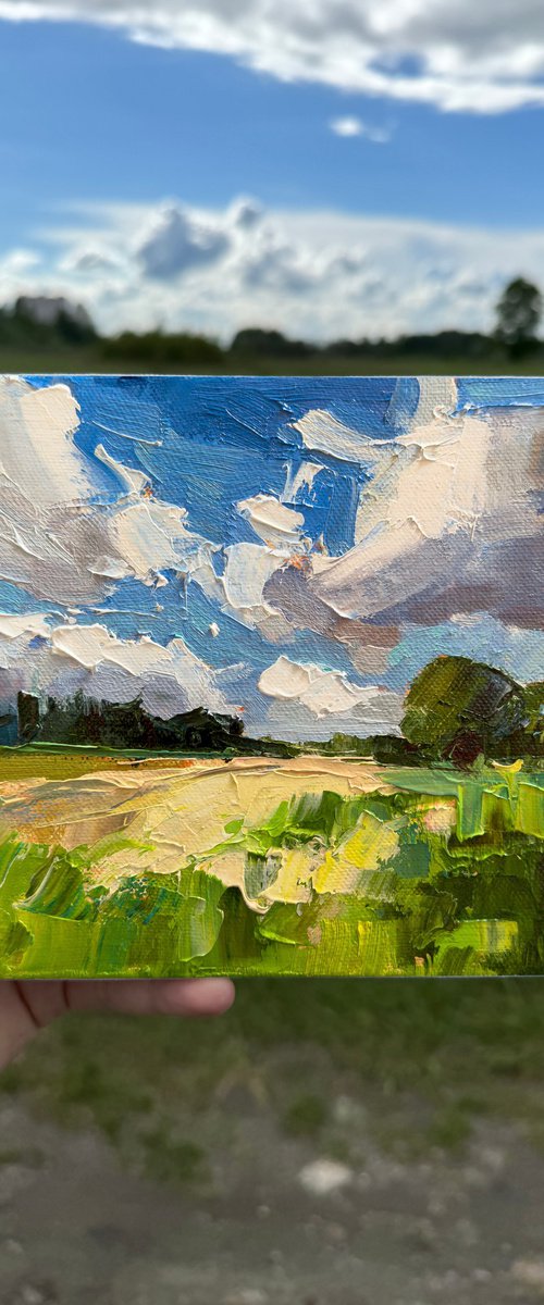 Fields Beneath the Wind by Daria Zavadenko