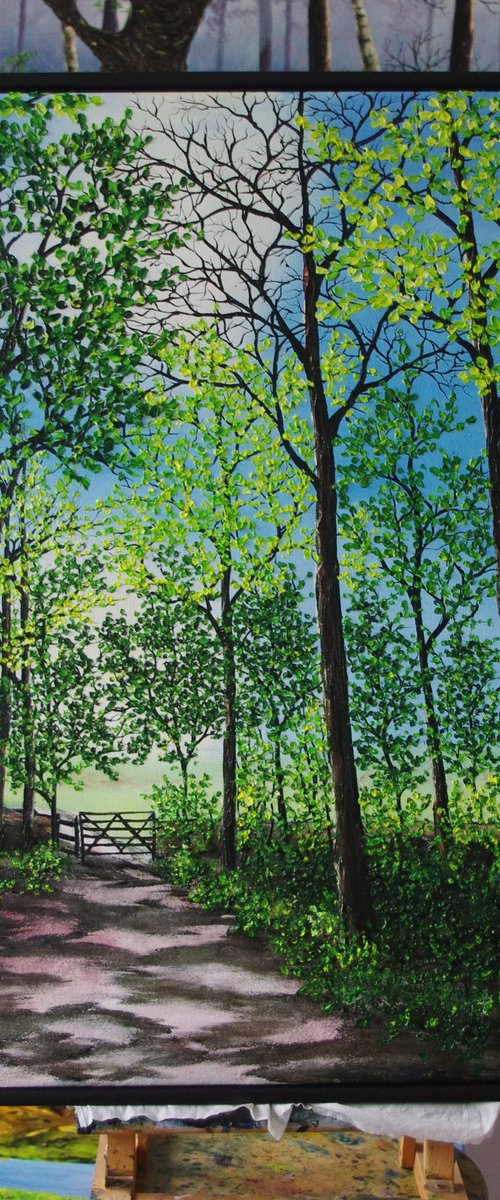 Dappled Light by Hazel Thomson