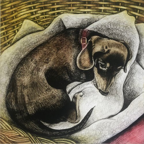 A Cosy Bed by Marian Carter