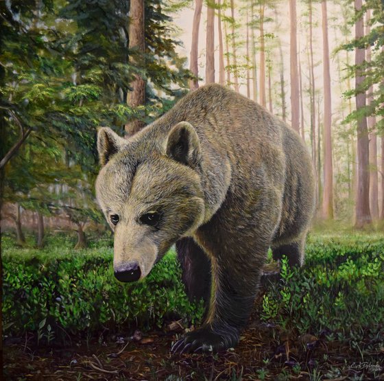 SALE - "Bear" 100 X 100 cm Ready to Hang. (Video on "Me at work")