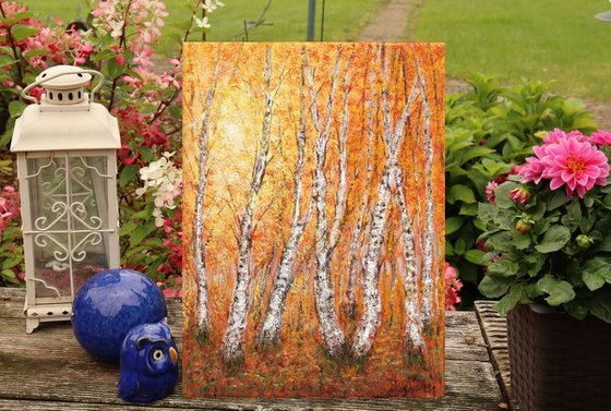 Autumn birch trees