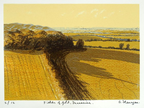 Fields of Gold, Dunamaise