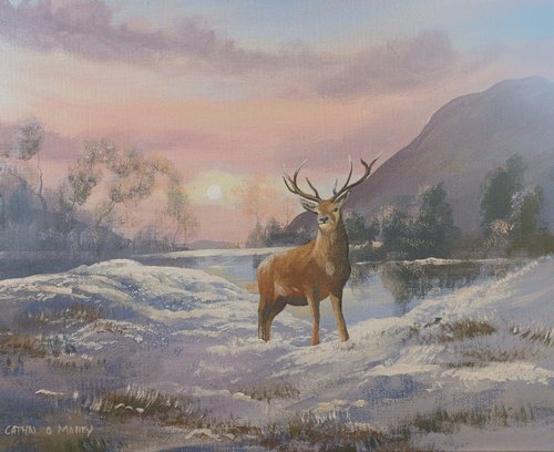 winter stag by cathal o malley