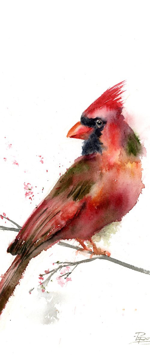 Cardinal - Original Watercolor by Olga Tchefranov (Shefranov)