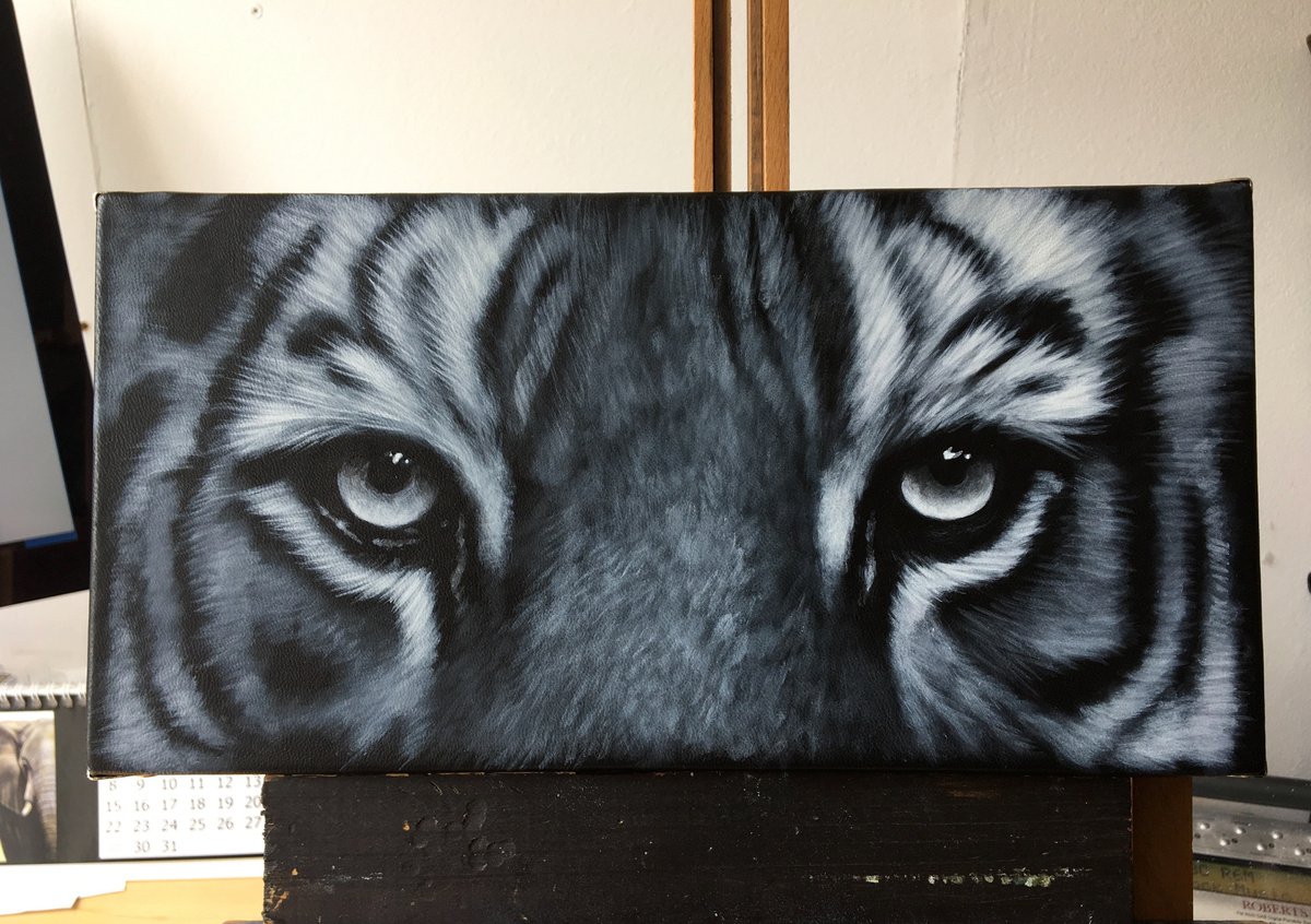 Tiger Eyes: Monochrome by Karl Hamilton-Cox