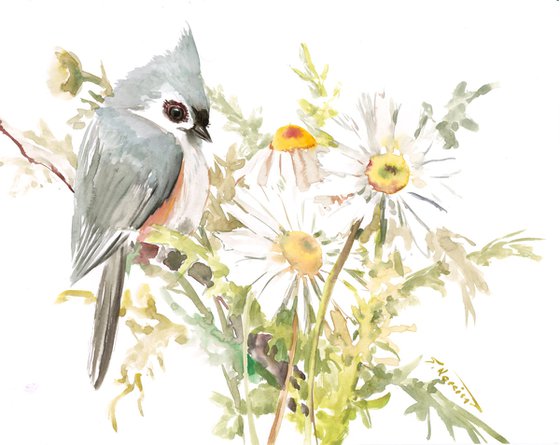 Titmouse and chamomile flowers