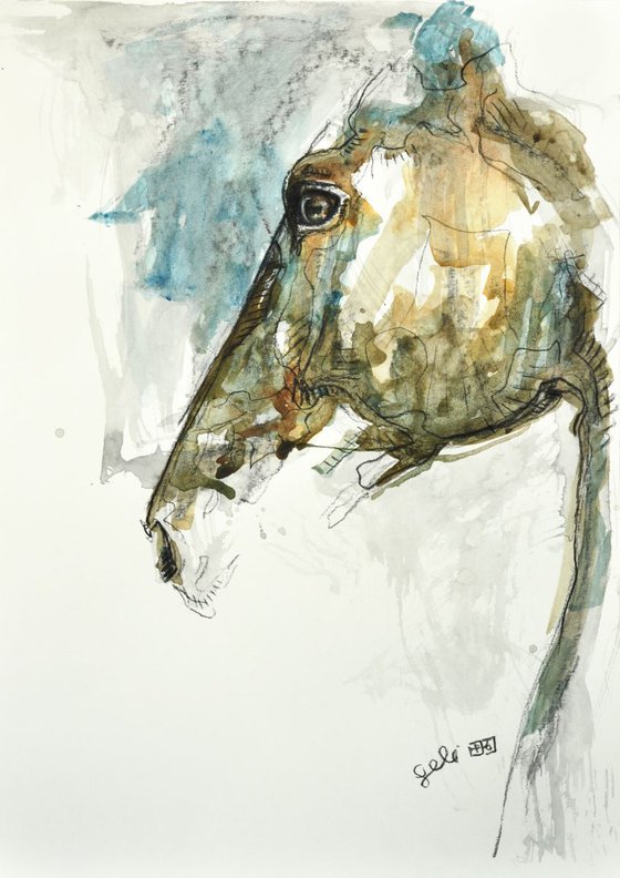 Equine Nude 64t