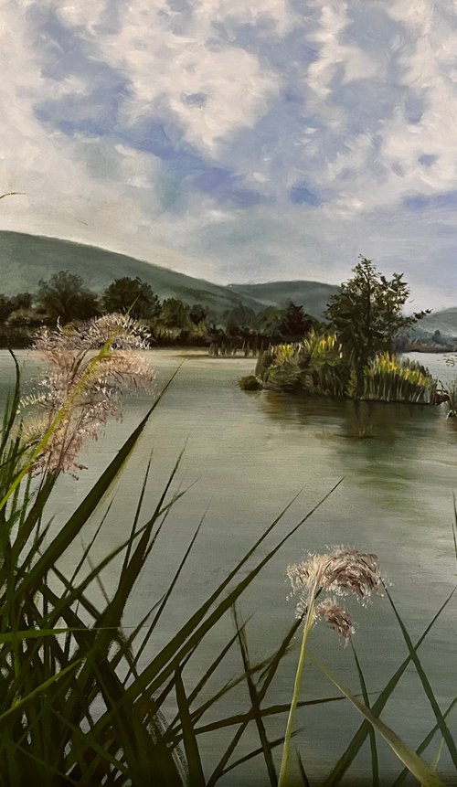Whispers of the Sebino Wetlands by Angelo Di Carlo