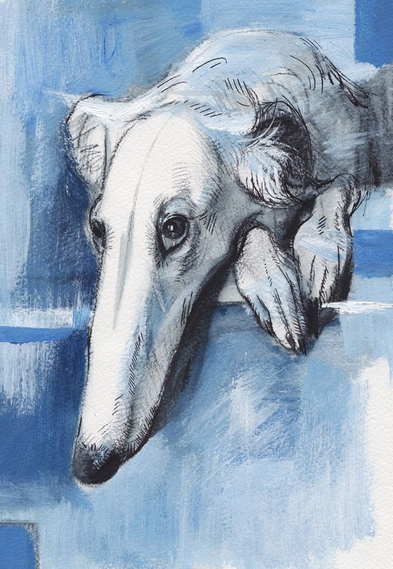 DOG  Borzoi