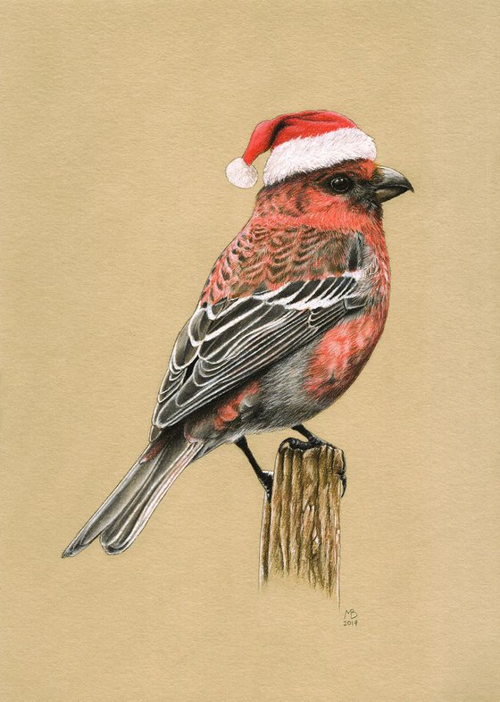 Original pastel drawing bird "Pine Grosbeak"