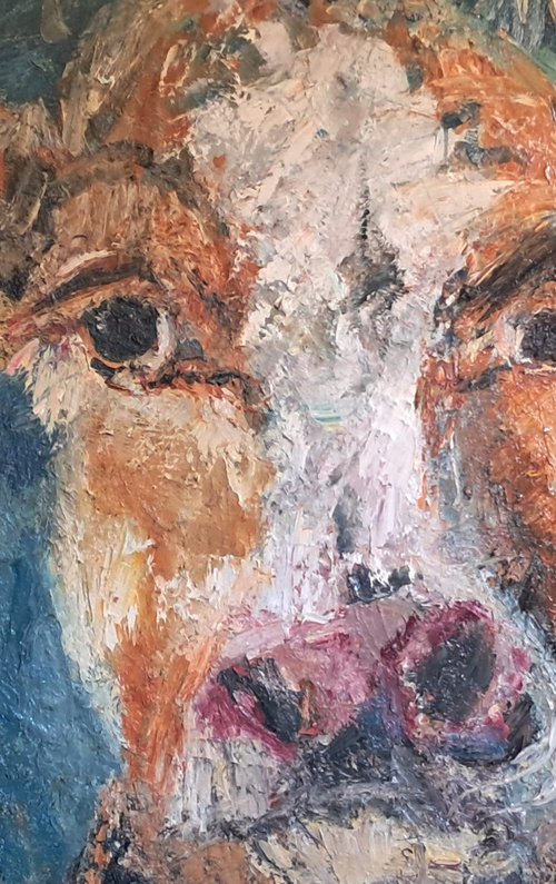 Cow by Deborah Donnelly