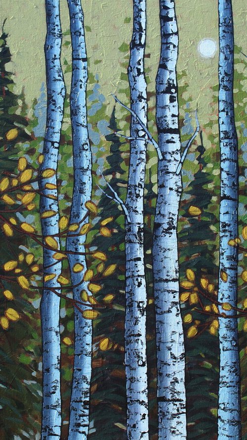 Autumn Birch Woods by Sage Mountain Studio