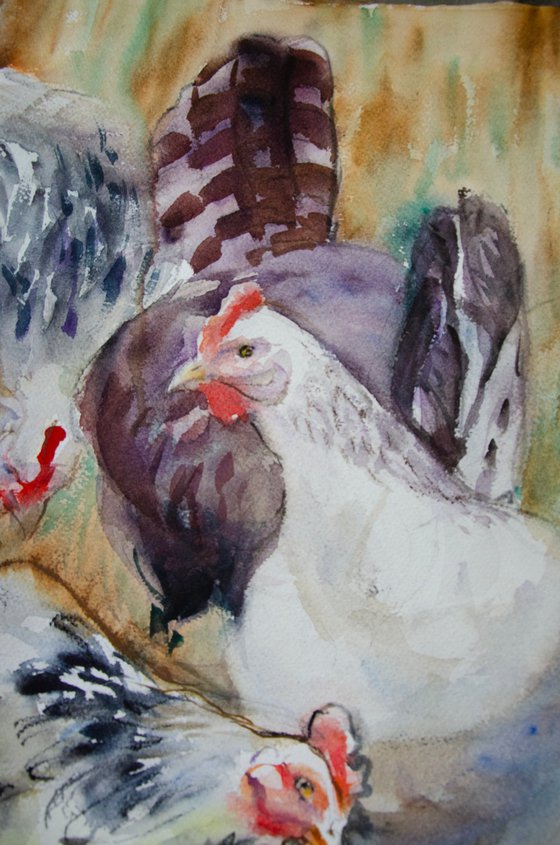 In the poultry house