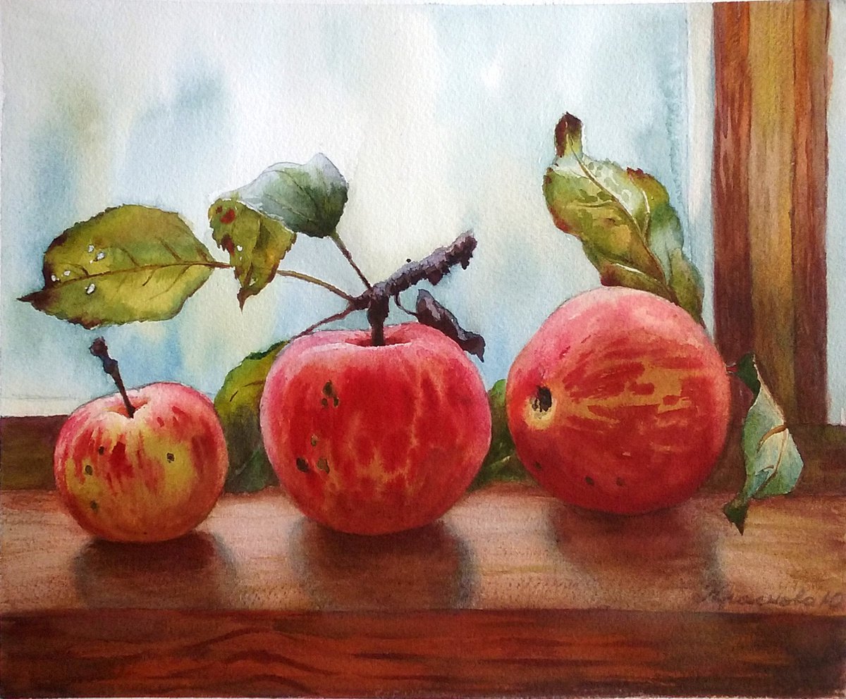 Photorealistic Still Life Watercolour By Yulia Krasnov, 11 X 9", Summer Apples, Original Artwork