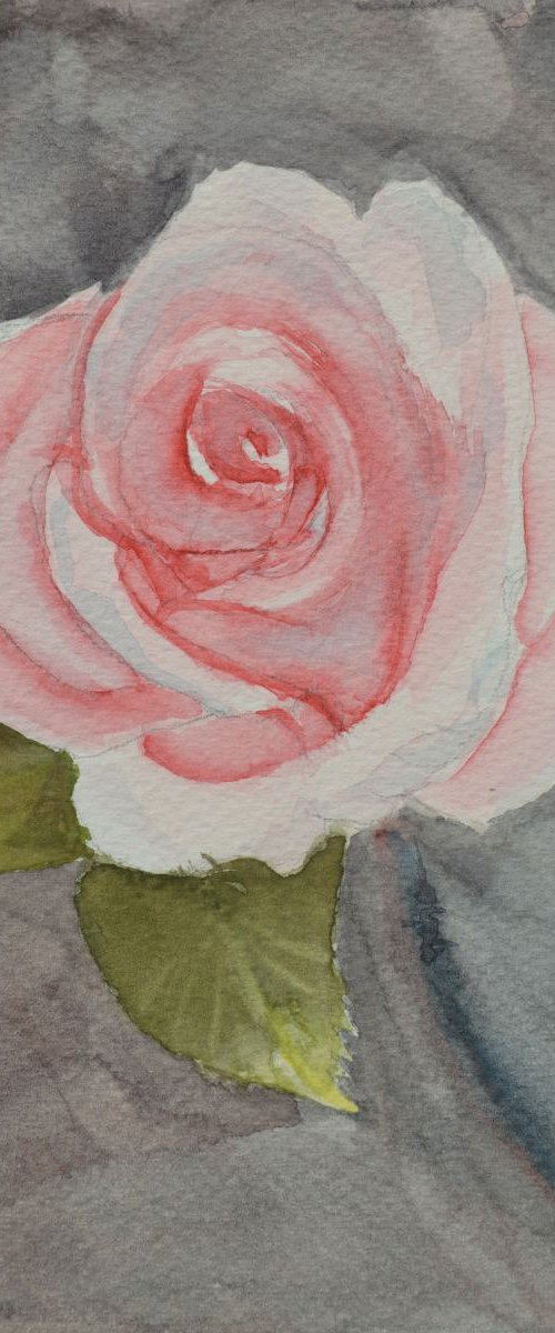 Pink Rose by Neha Soni