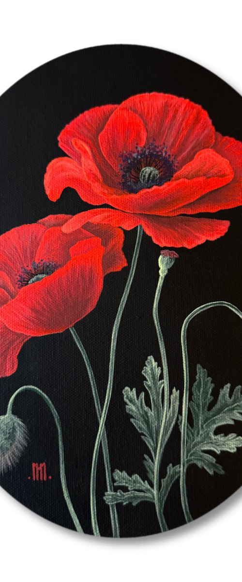 Papaver (Red Poppies) by Mason Holcomb
