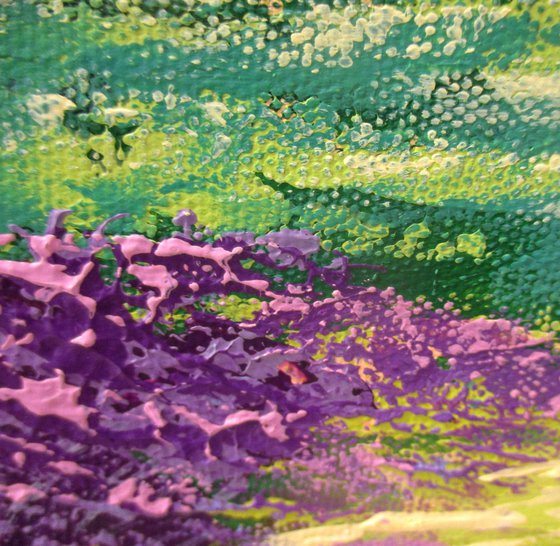 This Wild and Rugged Moor